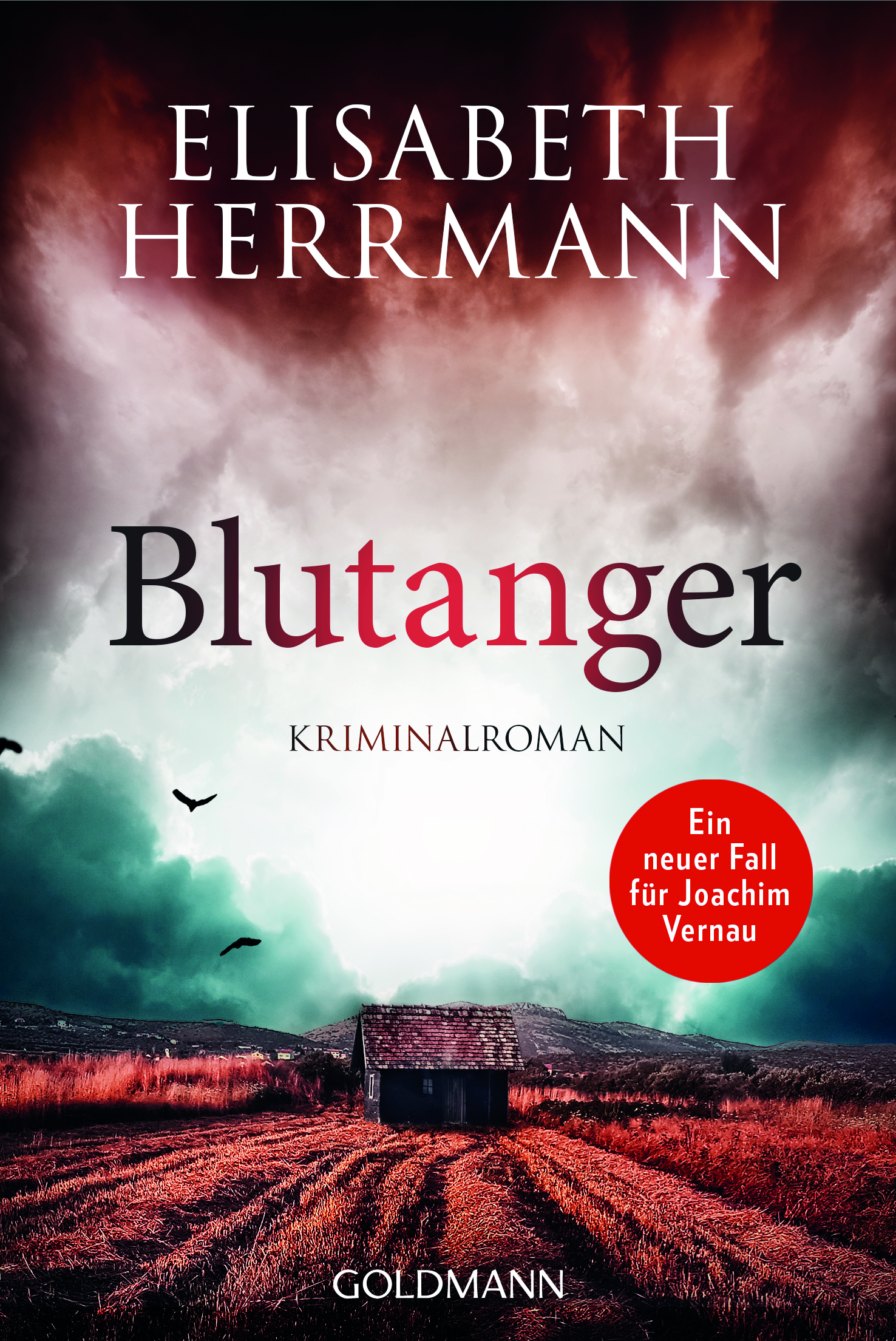 Elisabeth Herrmann - Lesung I