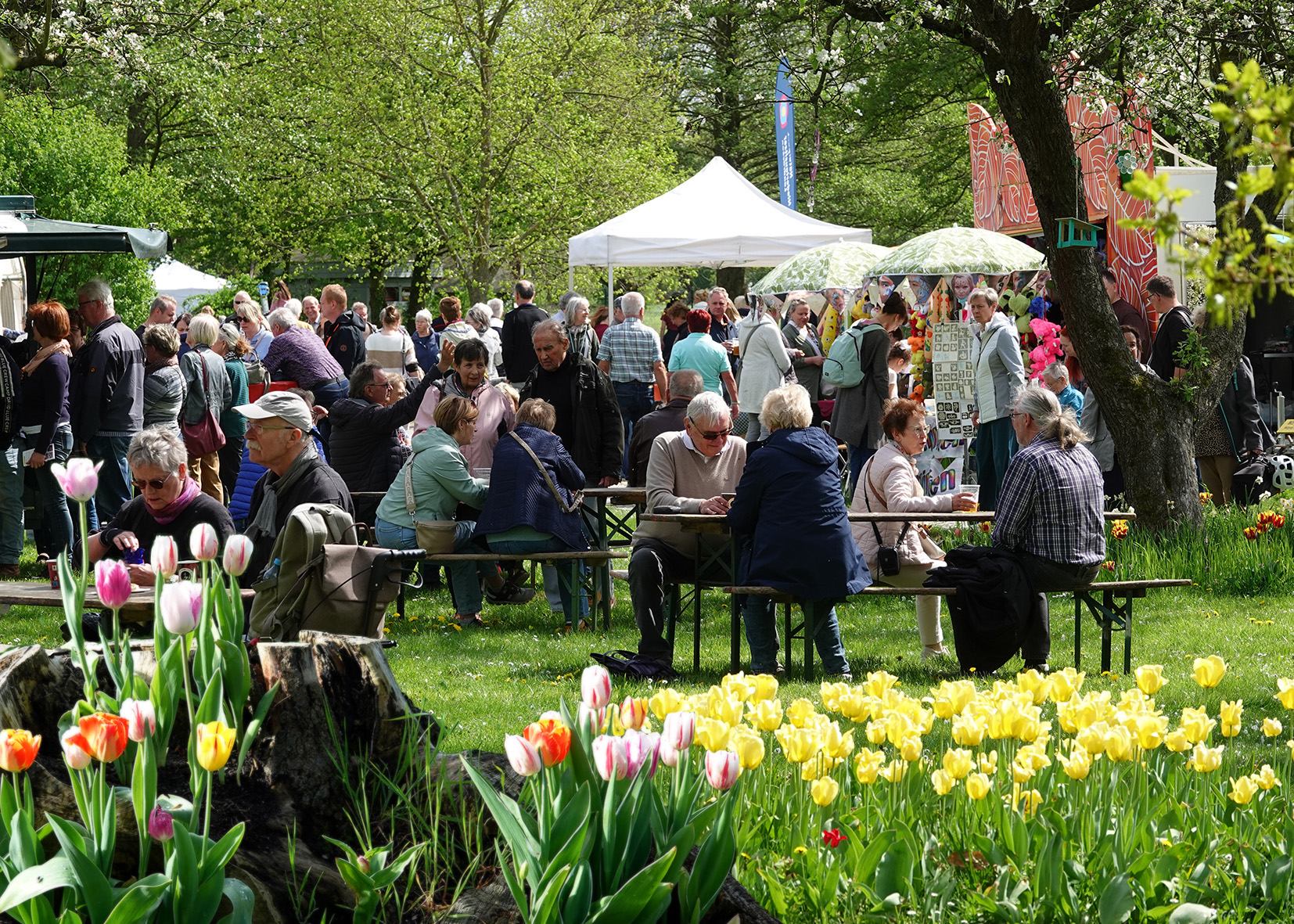 Verlängerung Anmeldefrist Tulpenfest
