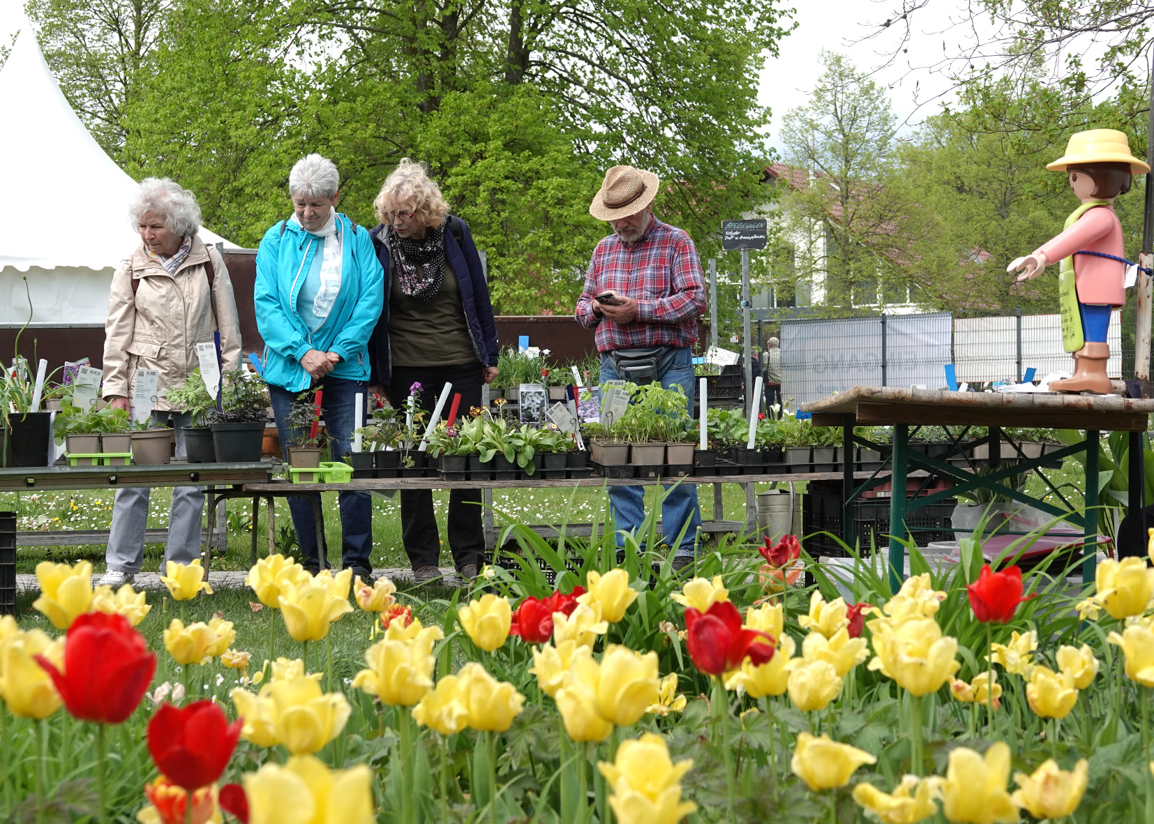 Verlängerung Anmeldefrist Tulpenfest