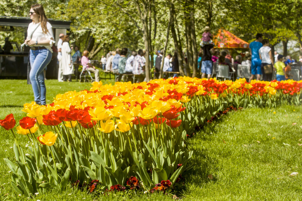 Tulpenfest